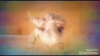 Miniature : Quand tu n'est pas cher toi