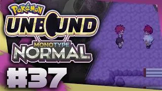 Miniature : Marlon affronte son fils : Pokémon Unbound Monotype Normal / Insane - #37
