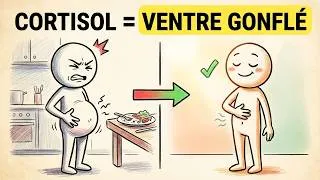 Miniature : Pourquoi Votre Ventre Gonfle À Cause Du Cortisol (Et La Technique Japonaise Pour L'arrêter)