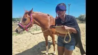 Miniature : Ce que les chevaux ont vu aujourd'hui...