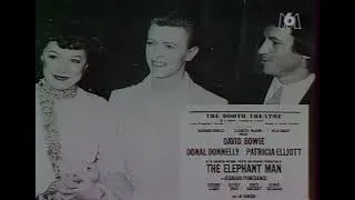 Miniature : David Bowie - Culture Rock M6