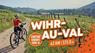 Miniature : AUX PORTES DE COLMAR : WihR-AU-VAL #vtt  #mtb