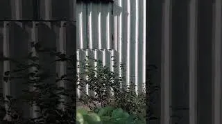 Miniature : Écologie - climat - économie d'énergie 