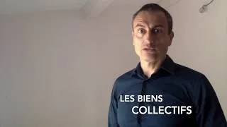 Miniature : LES BIENS COLLECTIFS