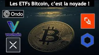 Miniature : Actu crypto et économique n°178 (Bitcoin, Vechain, ONDO, PLUME, chainlink, XRP)