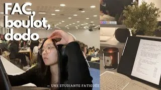Miniature : Être étudiante et bosser 25h par semaine