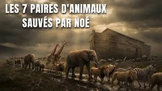 Miniature : Au-delà de l'Arche : La signification cachée des 7 paires d'animaux sauvés par Noé