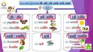 Miniature : Le son [j] avec ill, ail, eil, euil, œil, ouil au CP