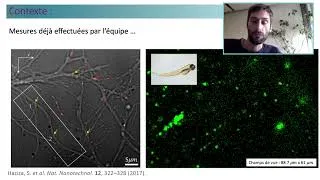 Miniature : Une méthode de suivi en temps réel et en 3-D de nanoparticules dans les tissus biologiques.
