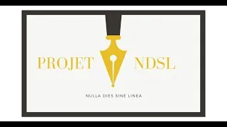 Miniature : Projet NDSL