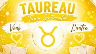 Miniature : Taureau ☀️ Vous/L'autre,Cette belle histoire qui se construit lentement mais avec constance.
