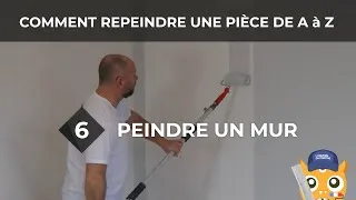 Miniature : Peindre un mur - Comment repeindre une pièce