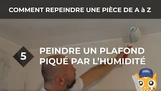 Miniature : Peindre un plafond - Comment repeindre une pièce