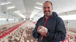 Miniature : LUR BERRI - Matthieu Urrutiaguer, éleveur de poulets du quotidien à Domezain-Berraute