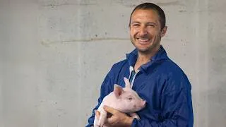 Miniature : LUR BERRI - Benoît Irigoin, éleveur de porcs et producteur de maïs semences à Arbouet