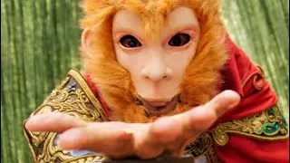 Miniature : ￼1er Partie : Festival Asia 2026 ￼Saint-Estève ￼🐵 Kung-Fu : ￼roi singe et le bâton volé par le lion