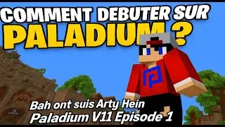 Miniature : Comment Débuter sur paladium ? Bah ont suis Arty Hein - Paladium V11 - Episode 1
