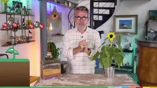 Miniature : La méthanisation expliquée par Jamy !