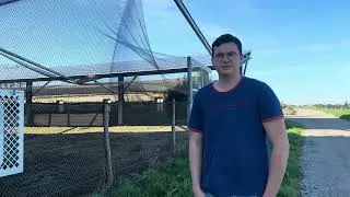 Miniature : L'avenir de l'élevage face aux énergies solaires - Projet ACS'AGRI