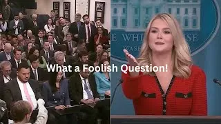 Miniature : Trump’s Press Secretary TEARS INTO Woke Reporter Over DEI Policies | Explosive Moment!