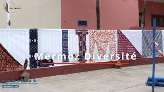 Miniature : Journée de la Diversité : célébrons ce qui nous rassemble