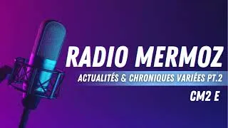 Miniature : Radio Mermoz : Actualités & Chroniques variées pt.2