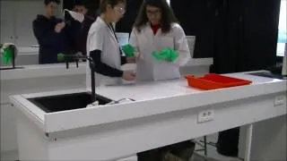 Miniature : Mannequin challenge 2GT4 groupe 1 - lycée J. Prévert