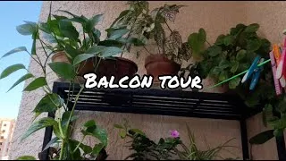 Miniature : Balcon Tour été 2020