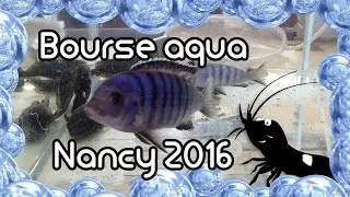 Miniature : Bourse aquariophile de Nancy 2016