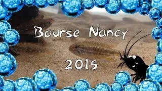 Miniature : Bourse aquariophile de Nancy 2015