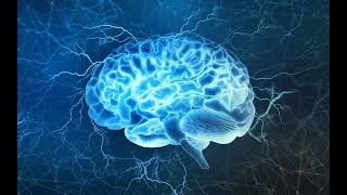 Miniature : Les pouvoirs du cerveau :  déchiffrer la conscience  !