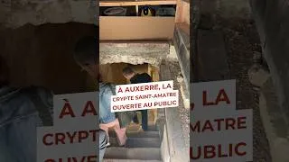 Miniature : La crypte Saint-Amâtre ouverte au public à Auxerre