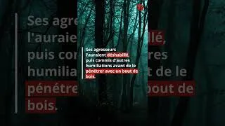 Miniature : Un adolescent d'Auxerre a été séquestré, battu et violé par cinq personnes