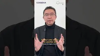 Miniature : Parole d'architectes - SOU FUJIMOTO