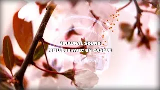 Miniature : 2H Musique pour aller mieux : LES PLUS BELLE MUSIQUE CLASSIQUE en Ré Majeur !!