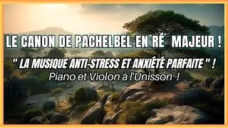 Miniature : Musique pour aller mieux : Le Canon de Pachelbel en Ré Majeur - La plus Belle version !!