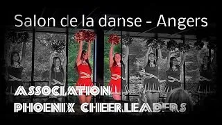 Miniature : Les Phoenix d'#Angers #cheerleaders  - Salon de la danse d’Angers 2025. #canon #danse