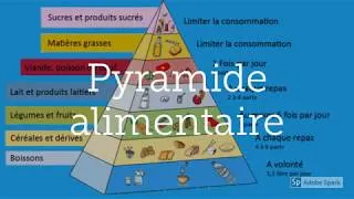 Miniature : Résumé cours aliments, nutriments, biomolécules
