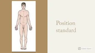 Miniature : Résumé cours anatomie et unité de l'organisme