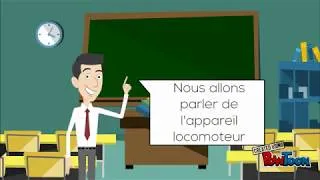 Miniature : Chapitre 10 : Organisation de l'appareil locomoteur
