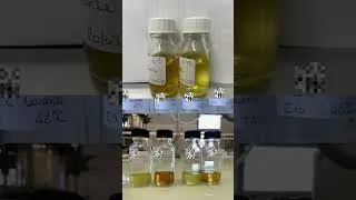 Miniature : Présentation CREA FOQUAL - Bref