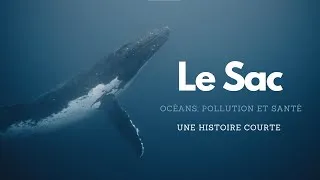 Miniature : Le Sac: une histoire courte sur l'écologie.
