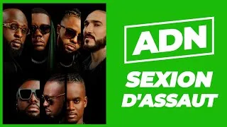 Miniature : "T'es un mytho !" - ADN de @sexiondassautonline