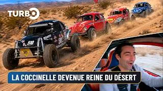 Miniature : La Coccinelle devenue reine du désert - TURBO