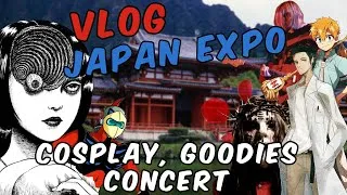 Miniature : VLOG & HAUL JAPAN EXPO 2025,  Que PENSER de CETTE ÉDITION ?! (cosplay, goodies, concerts….)