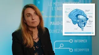 Miniature : Comprendre les addictions avec la neurobiologie