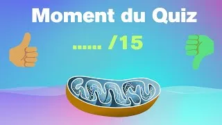 Miniature : Quiz Mitochondries (Révision SVT Bac & Concours)
