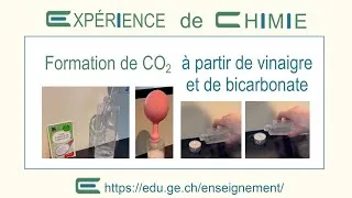 Miniature : D2E Formation de CO2
