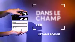 Miniature : Dans le champ: Tapis rouge