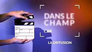 Miniature : Dans le champ: La diffusion